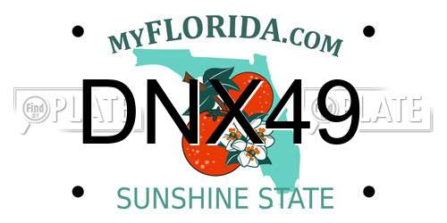 DNX49 Florida License Plate