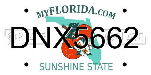 DNX5662 Florida License Plate