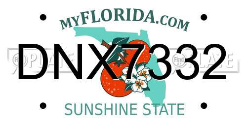 DNX7332 Florida License Plate