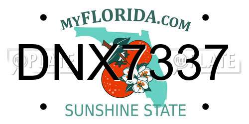 DNX7337 Florida License Plate