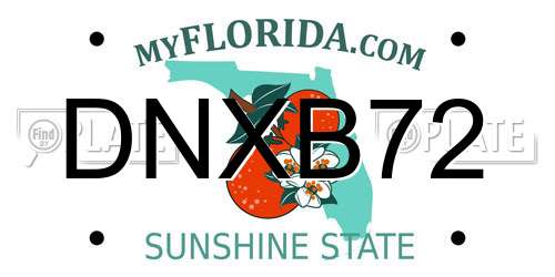 DNXB72 Florida License Plate