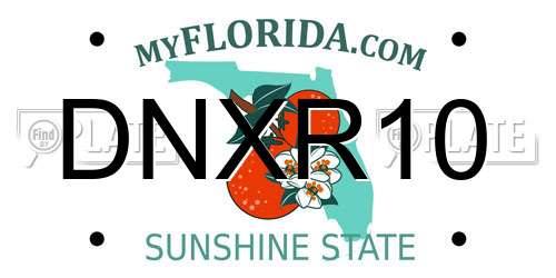 DNXR10 Florida License Plate