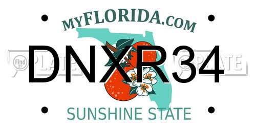 DNXR34 Florida License Plate