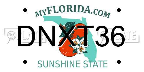 DNXT36 Florida License Plate