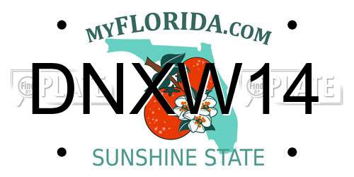 DNXW14 Florida License Plate