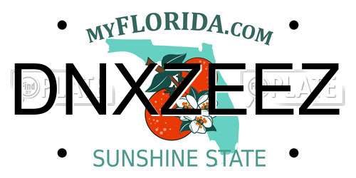 DNXZEEZ Florida License Plate