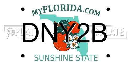 DNY2B Florida License Plate