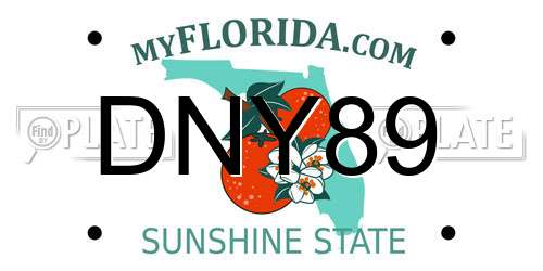 DNY89 Florida License Plate