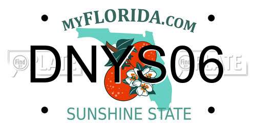 DNYS06 Florida License Plate