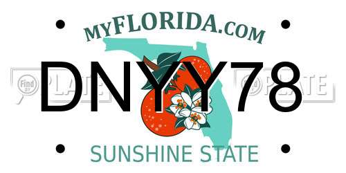 DNYY78 Florida License Plate