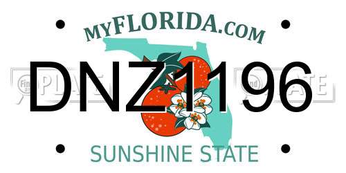 DNZ1196 Florida License Plate