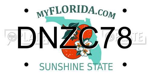 DNZC78 Florida License Plate