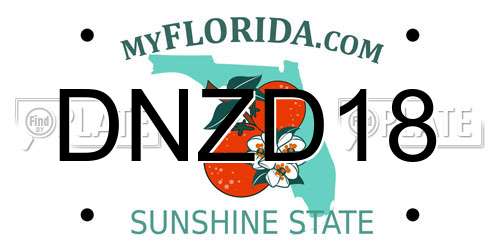 DNZD18 Florida License Plate