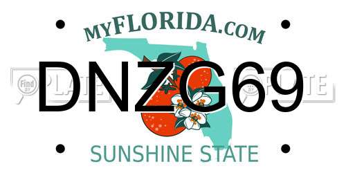 DNZG69 Florida License Plate