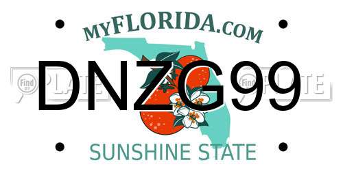 DNZG99 Florida License Plate