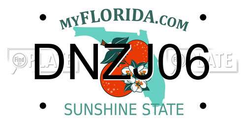 DNZJ06 Florida License Plate
