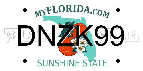 DNZK99 Florida License Plate