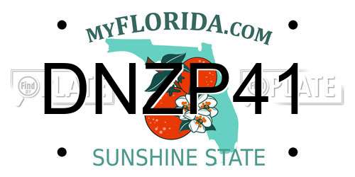 DNZP41 Florida License Plate