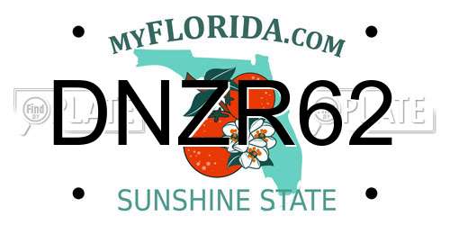 DNZR62 Florida License Plate