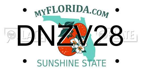 DNZV28 Florida License Plate
