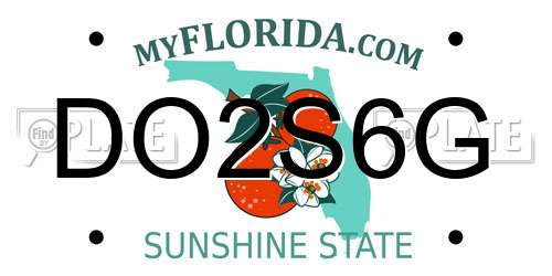 DO2S6G Florida License Plate