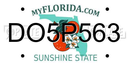 DO5P563 Florida License Plate