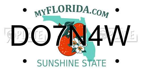 DO7N4W Florida License Plate