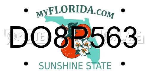 DO8P563 Florida License Plate