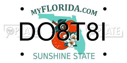 DO8T8I Florida License Plate