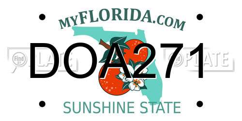 DOA271 Florida License Plate
