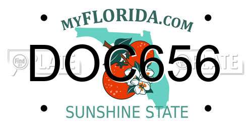 DOC656 Florida License Plate