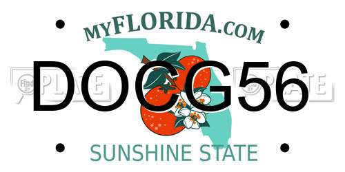 DOCG56 Florida License Plate