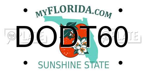 DODT60 Florida License Plate