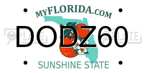 DODZ60 Florida License Plate