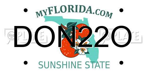 DON22O Florida License Plate