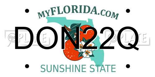 DON22Q Florida License Plate