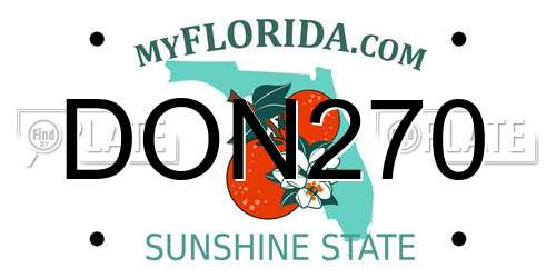 DON270 Florida License Plate