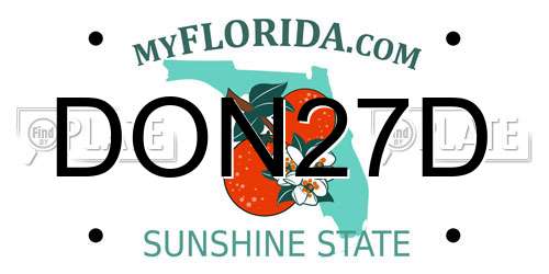 DON27D Florida License Plate