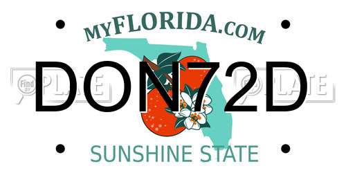 DON72D Florida License Plate