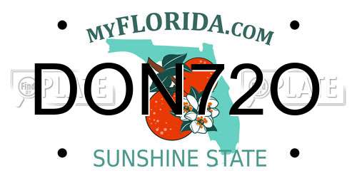 DON72O Florida License Plate
