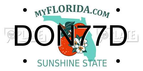 DON77D Florida License Plate