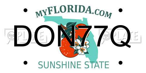 DON77Q Florida License Plate