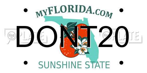 DONT20 Florida License Plate