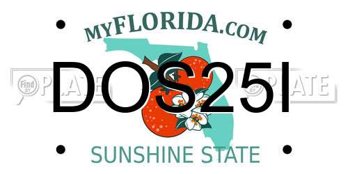 DOS25I Florida License Plate