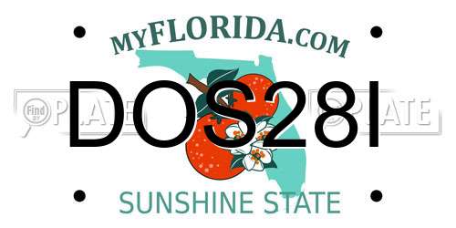 DOS28I Florida License Plate