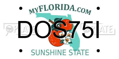 DOS75I Florida License Plate