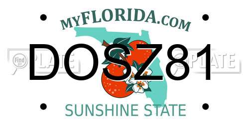 DOSZ81 Florida License Plate