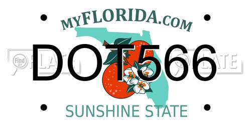 DOT566 Florida License Plate