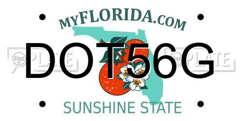 DOT56G Florida License Plate