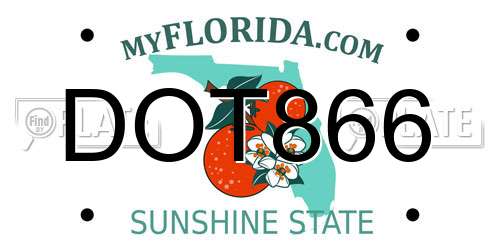 DOT866 Florida License Plate